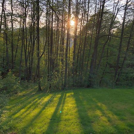 Ferienchalet-Floesswehrtal バート・ラウターベルク エクステリア 写真