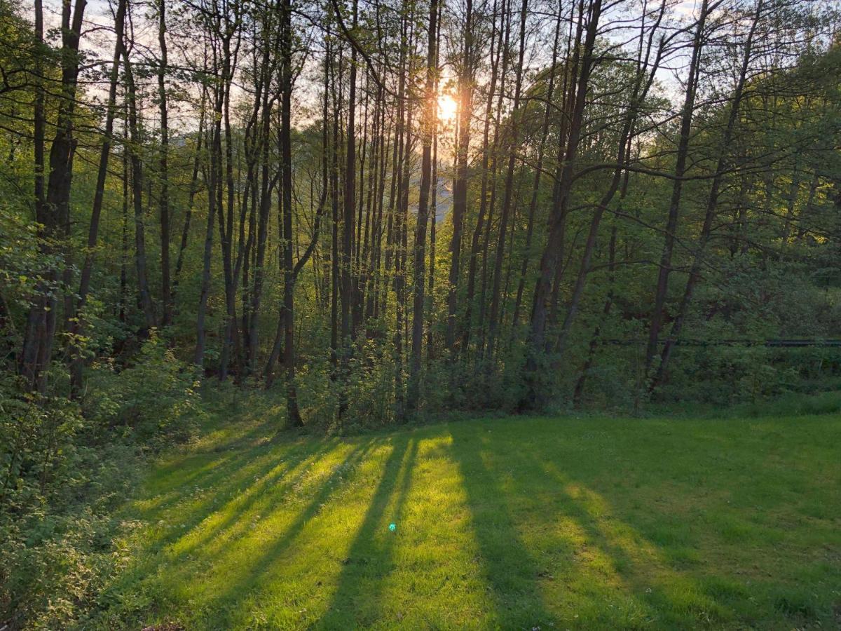 Ferienchalet-Floesswehrtal バート・ラウターベルク エクステリア 写真